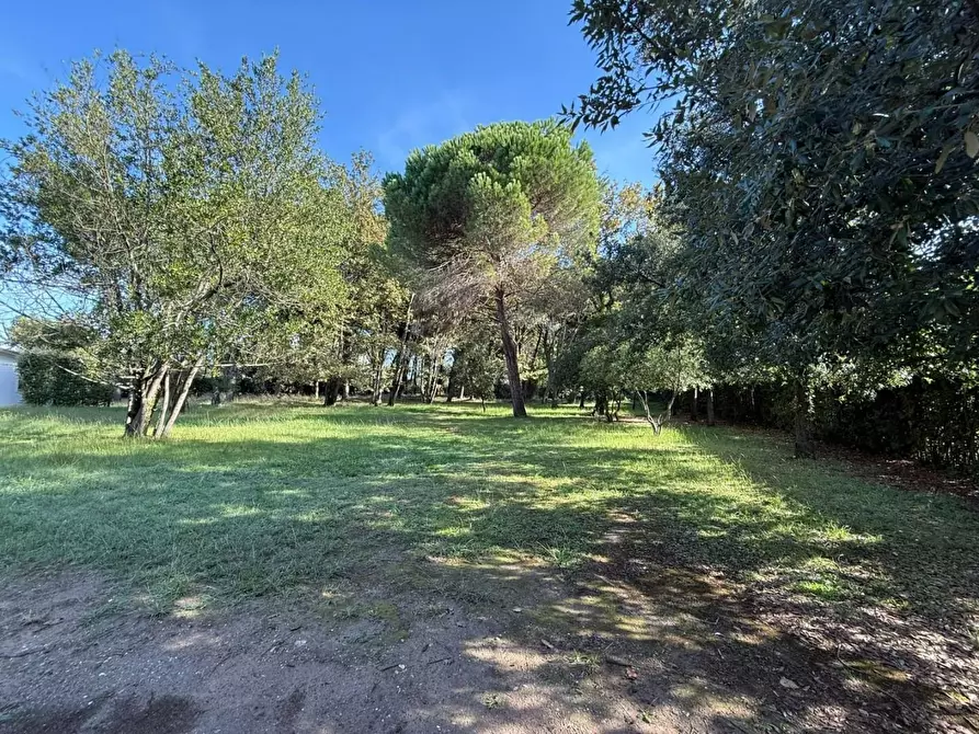 Immagine 27 di Casa bifamiliare in vendita  a Massa