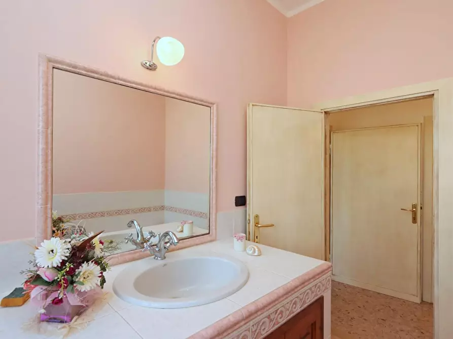 Immagine 23 di Appartamento in vendita  a Rosignano Marittimo