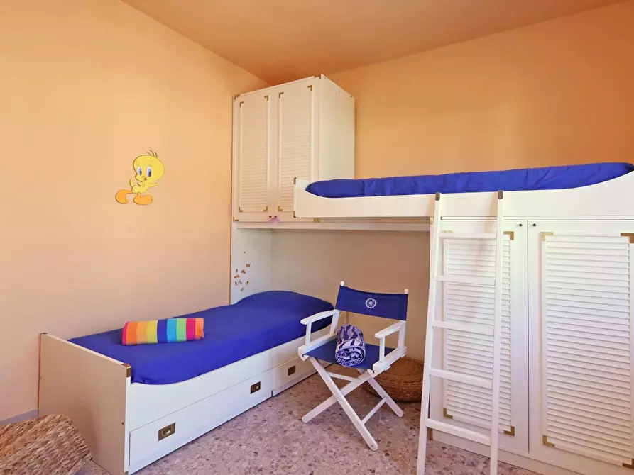 Immagine 13 di Appartamento in vendita  a Rosignano Marittimo