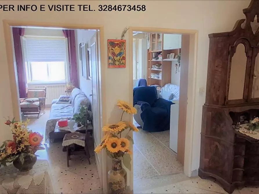 Immagine 4 di Appartamento in vendita  a Grosseto