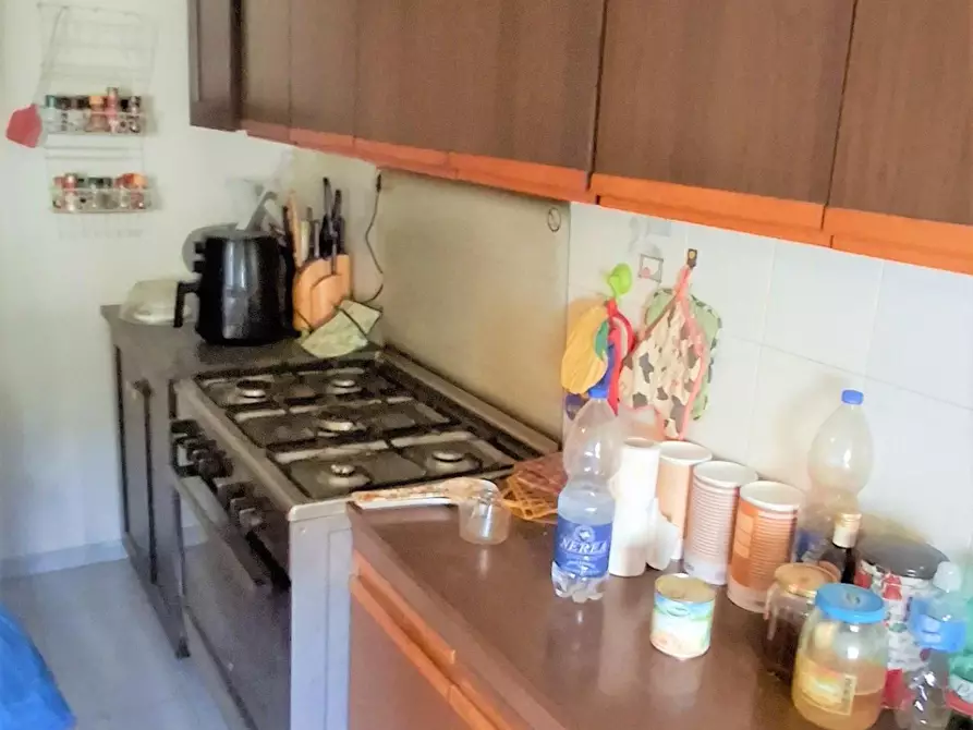 Immagine 8 di Appartamento in vendita  a Grosseto