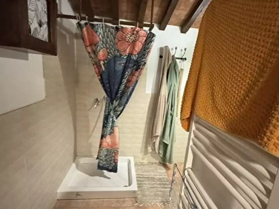 Immagine 9 di Casa colonica in vendita  a Calci