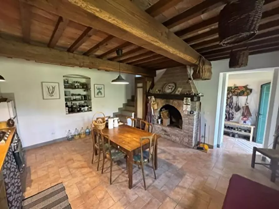 Immagine 14 di Casa colonica in vendita  a Calci