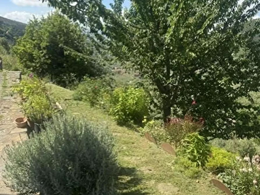 Immagine 12 di Casa colonica in vendita  a Calci