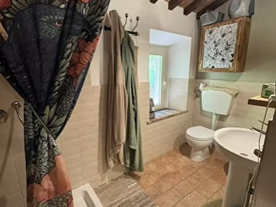 Immagine 8 di Casa colonica in vendita  a Calci