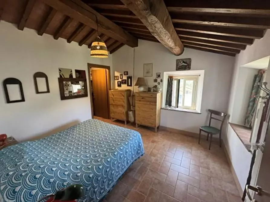 Immagine 16 di Casa colonica in vendita  a Calci