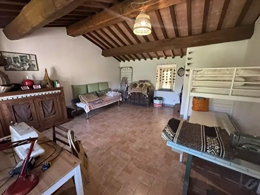 Immagine 17 di Casa colonica in vendita  a Calci