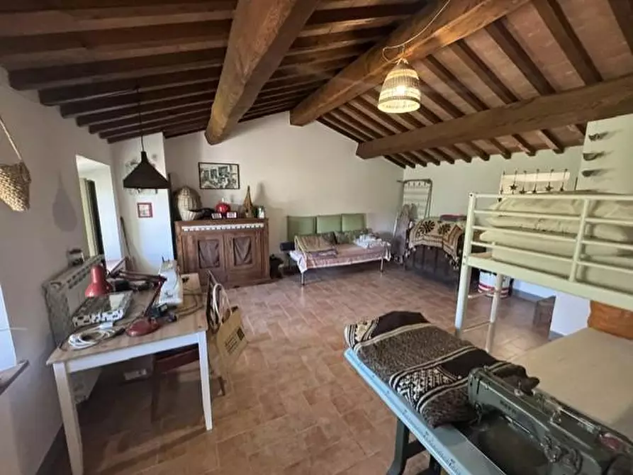Immagine 11 di Casa colonica in vendita  a Calci