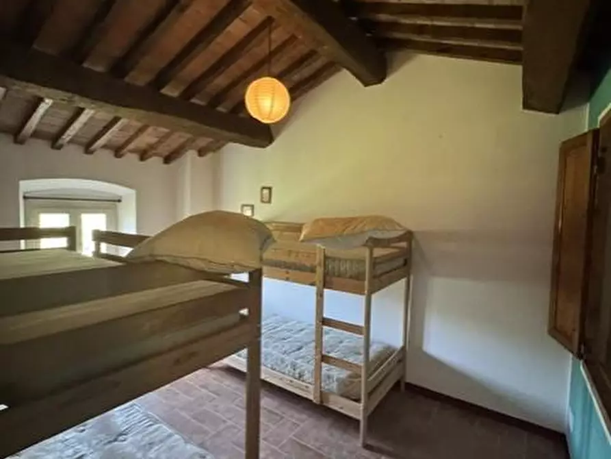 Immagine 32 di Casa colonica in vendita  a Calci