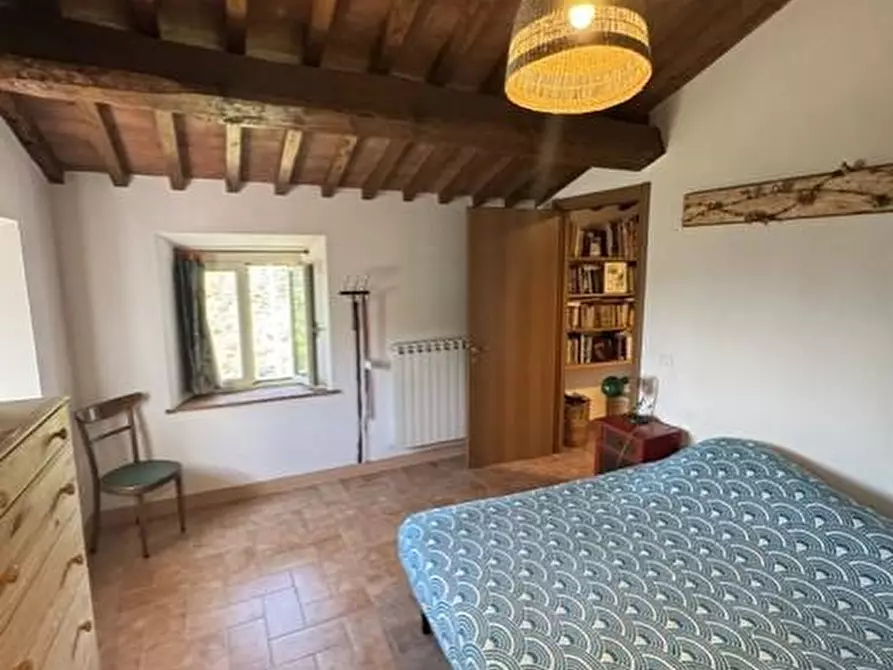 Immagine 23 di Casa colonica in vendita  a Calci