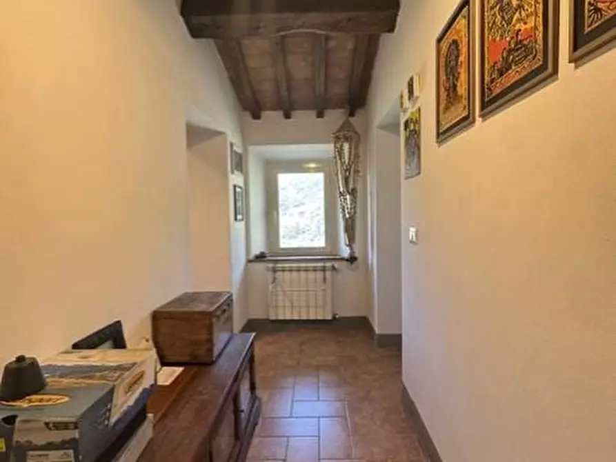 Immagine 25 di Casa colonica in vendita  a Calci