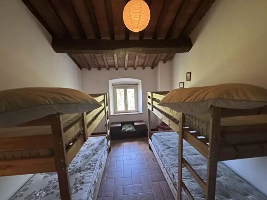 Immagine 26 di Casa colonica in vendita  a Calci