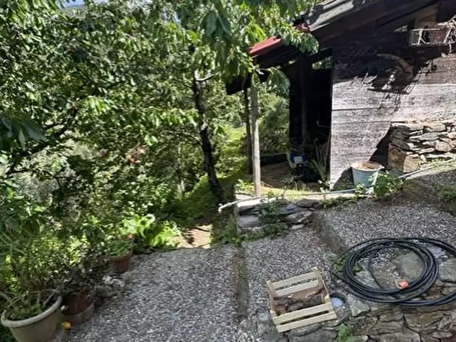Immagine 31 di Casa colonica in vendita  a Calci