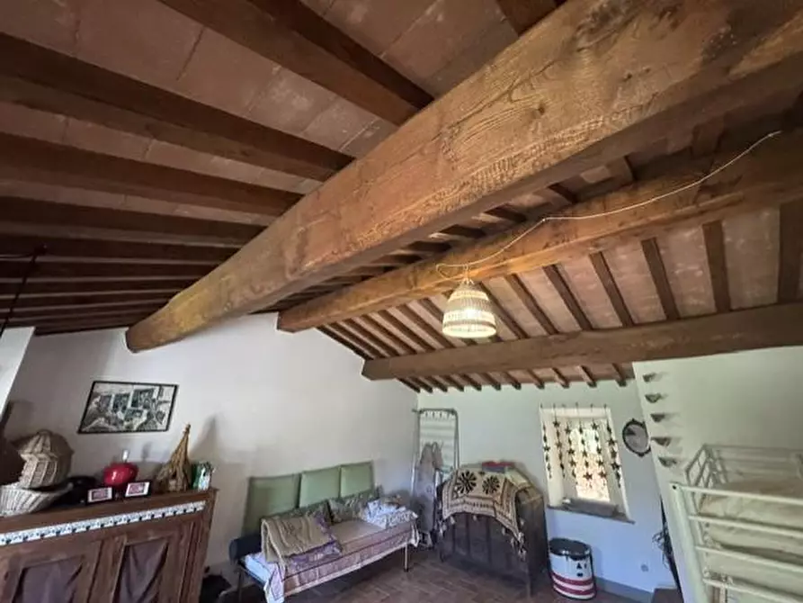 Immagine 18 di Casa colonica in vendita  a Calci