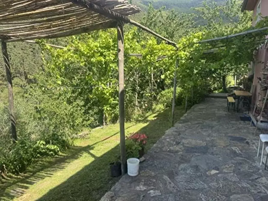 Immagine 24 di Casa colonica in vendita  a Calci