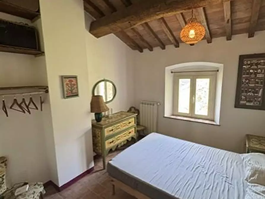 Immagine 21 di Casa colonica in vendita  a Calci
