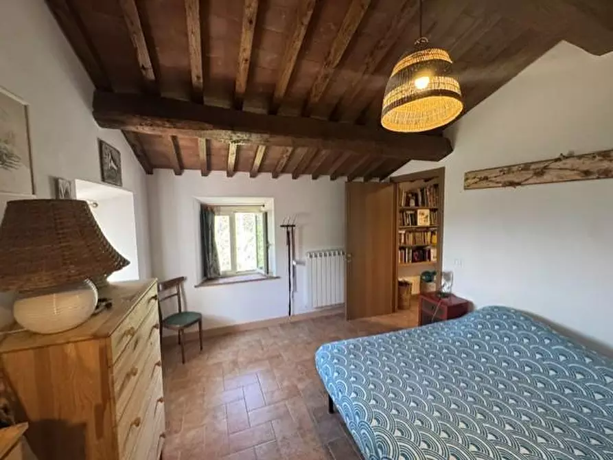 Immagine 22 di Casa colonica in vendita  a Calci
