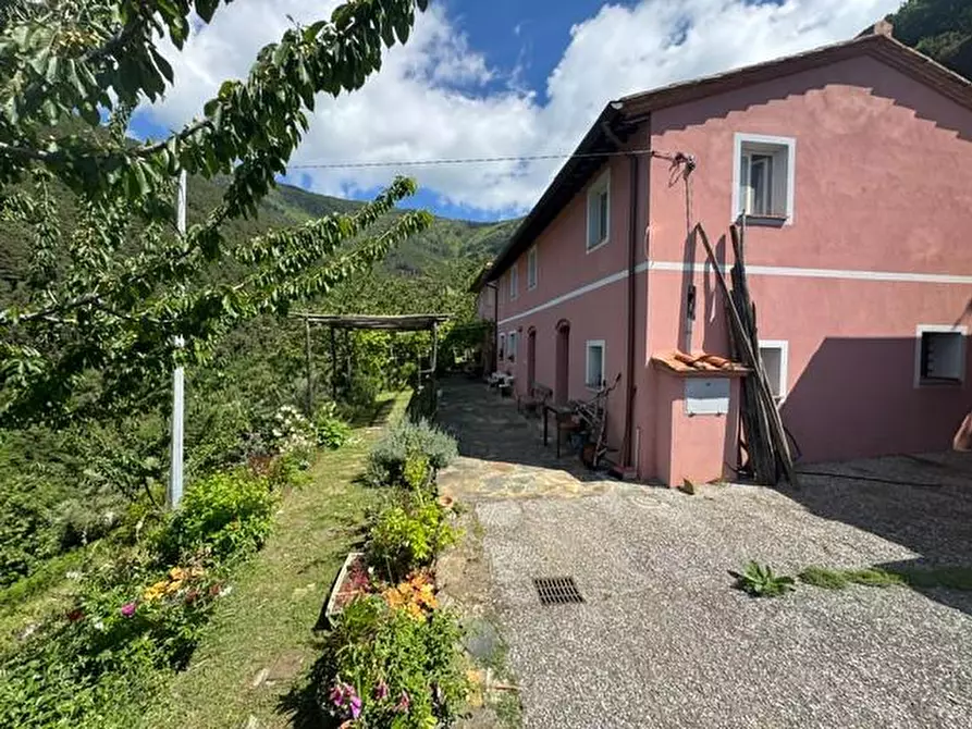 Immagine 1 di Casa colonica in vendita  a Calci