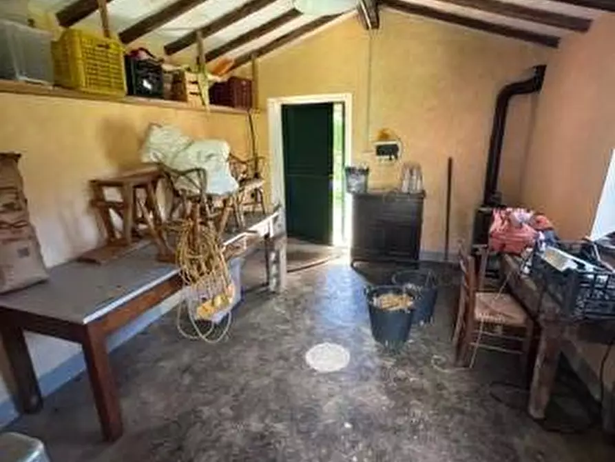 Immagine 27 di Casa colonica in vendita  a Calci