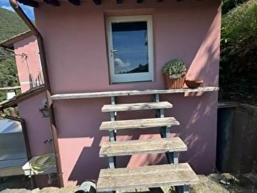 Immagine 28 di Casa colonica in vendita  a Calci