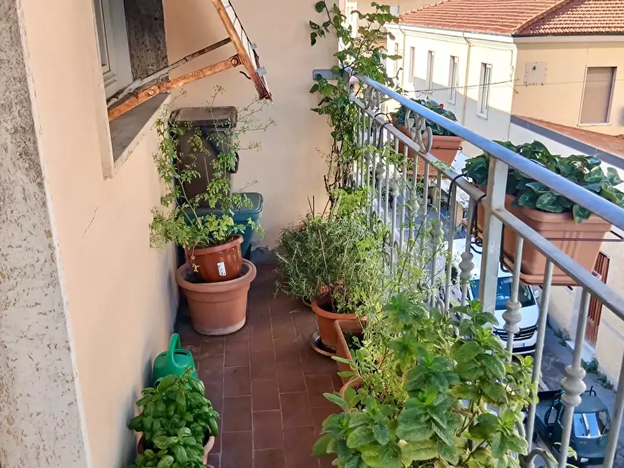 Immagine 12 di Appartamento in vendita  a Viareggio