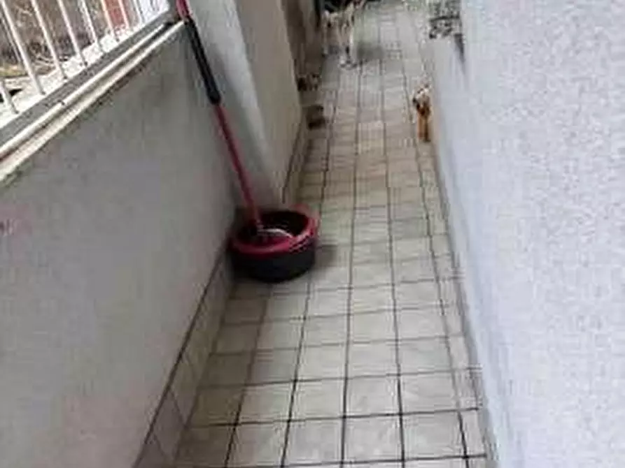 Immagine 12 di Appartamento in vendita  a Garbagnate Milanese