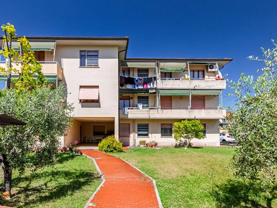 Immagine 27 di Appartamento in vendita  a Vecchiano