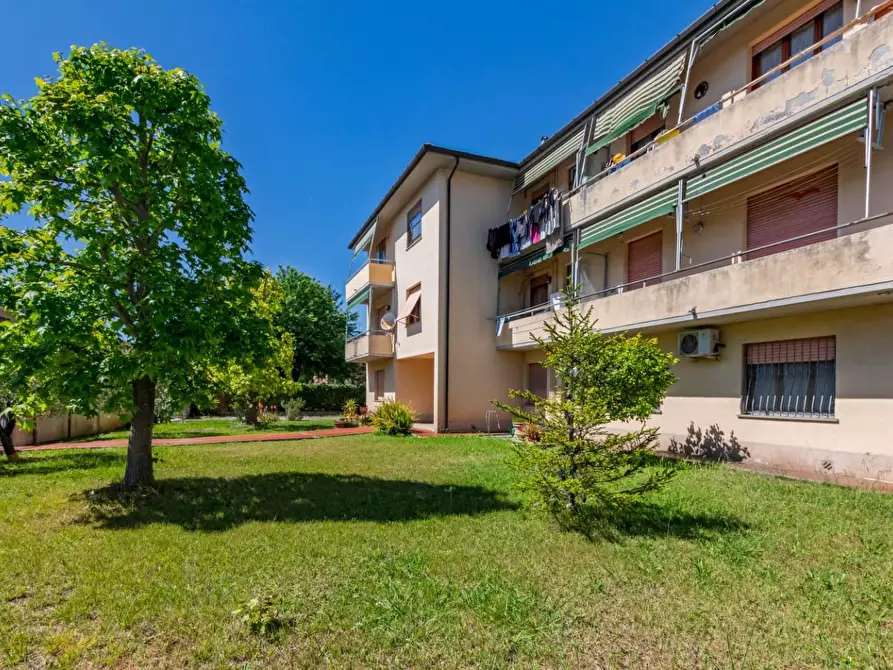 Immagine 28 di Appartamento in vendita  a Vecchiano