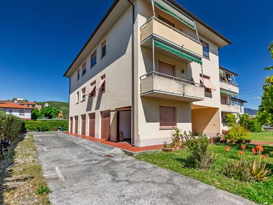 Immagine 26 di Appartamento in vendita  a Vecchiano
