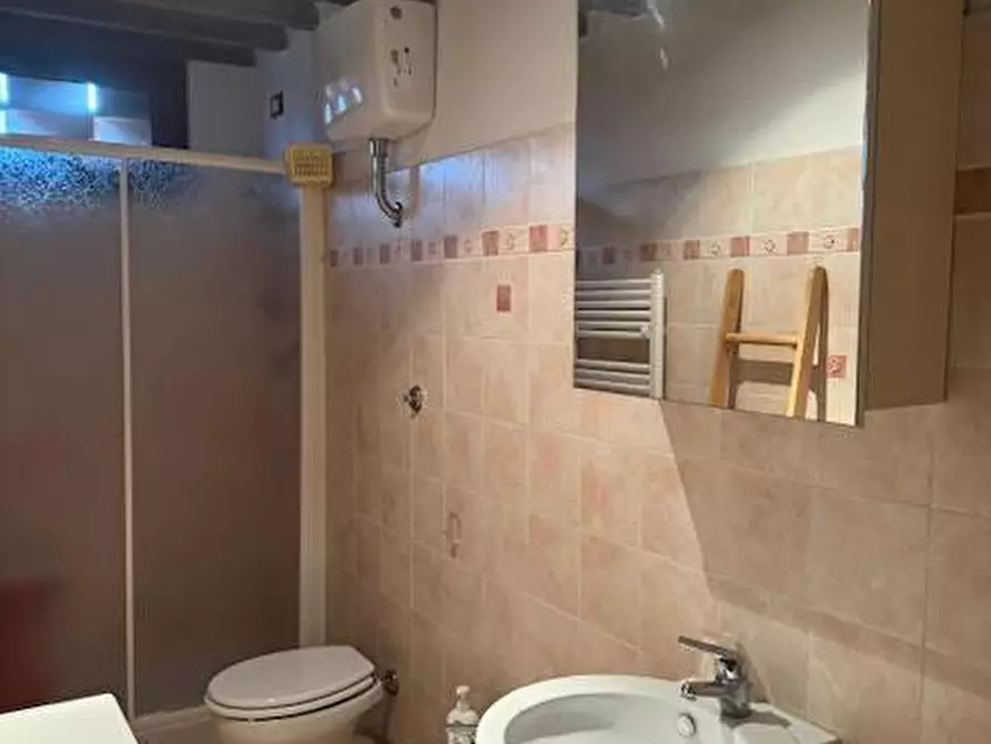 Immagine 12 di Terratetto in affitto  a San Giuliano Terme