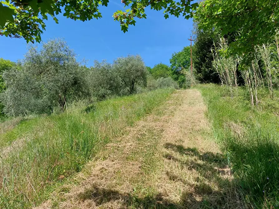Immagine 2 di Terreno agricolo in vendita  a Borgo A Mozzano