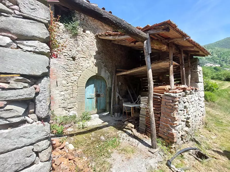 Immagine 8 di Terreno agricolo in vendita  a Borgo A Mozzano