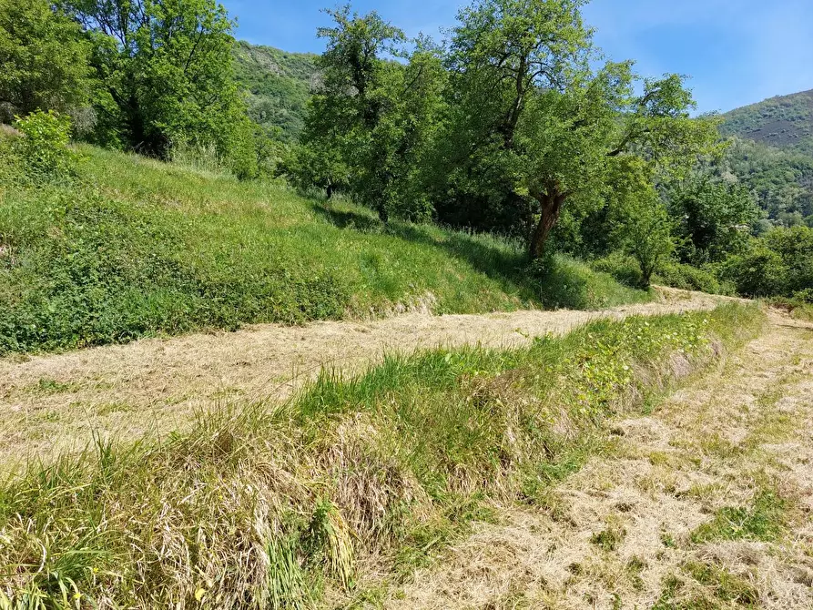 Immagine 4 di Terreno agricolo in vendita  a Borgo A Mozzano