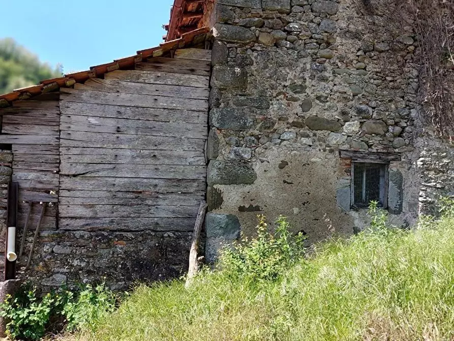 Immagine 5 di Terreno agricolo in vendita  a Borgo A Mozzano