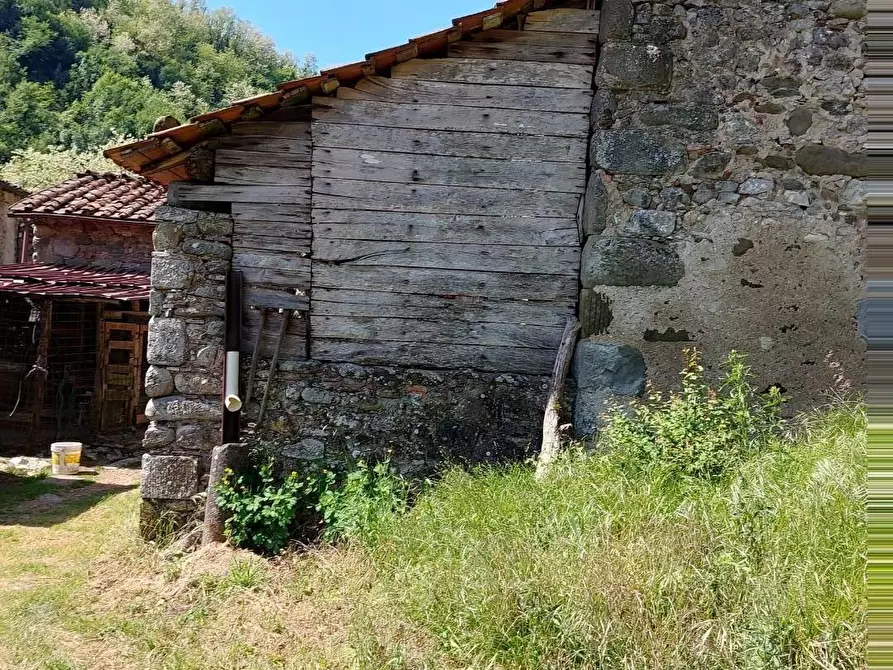Immagine 6 di Terreno agricolo in vendita  a Borgo A Mozzano