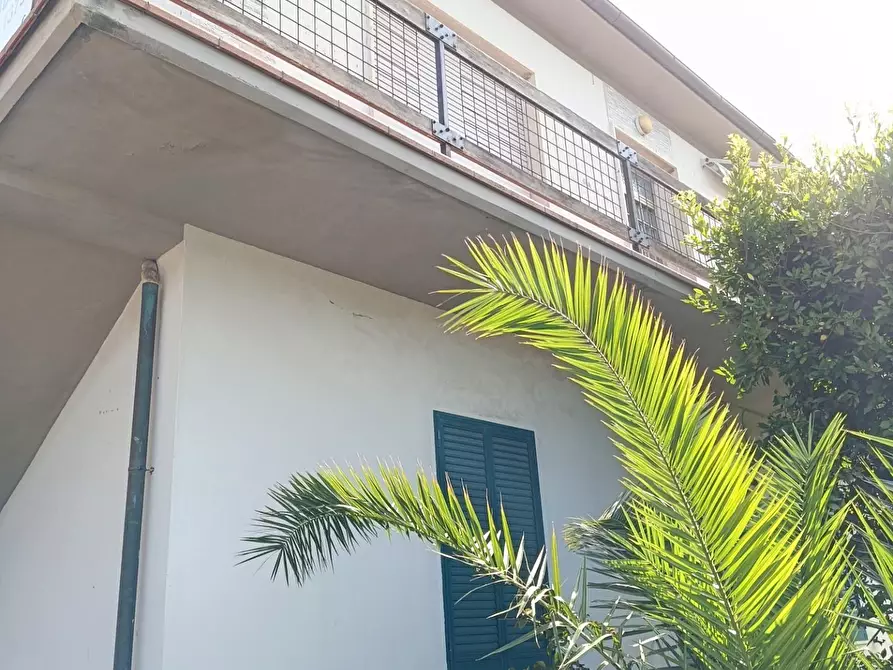 Immagine 4 di Casa trifamiliare in vendita  a Rosignano Marittimo
