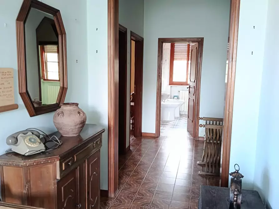 Immagine 12 di Casa trifamiliare in vendita  a Rosignano Marittimo