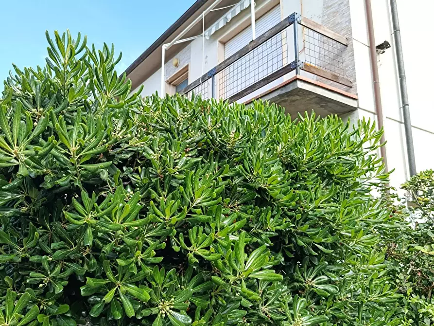 Immagine 2 di Casa trifamiliare in vendita  a Rosignano Marittimo