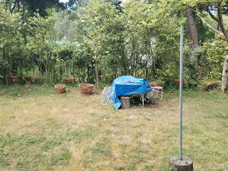 Immagine 4 di Casa indipendente in vendita  a Massa