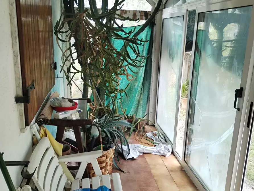 Immagine 7 di Casa indipendente in vendita  a Massa