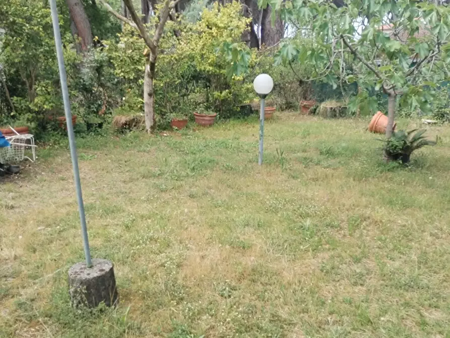 Immagine 3 di Casa indipendente in vendita  a Massa