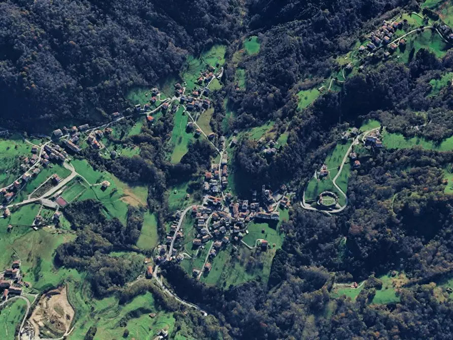 Immagine 1 di Terreno agricolo in vendita  a Zogno