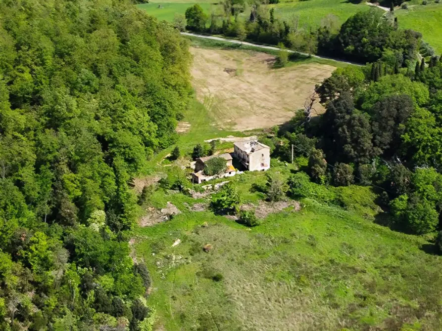 Immagine 2 di Casa colonica in vendita  a Gambassi Terme