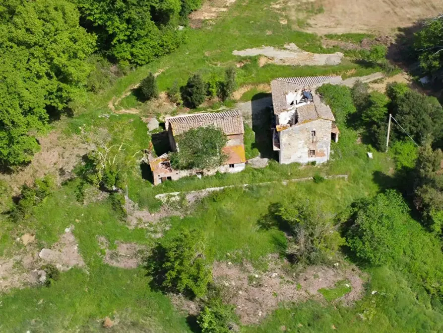 Immagine 1 di Casa colonica in vendita  a Gambassi Terme