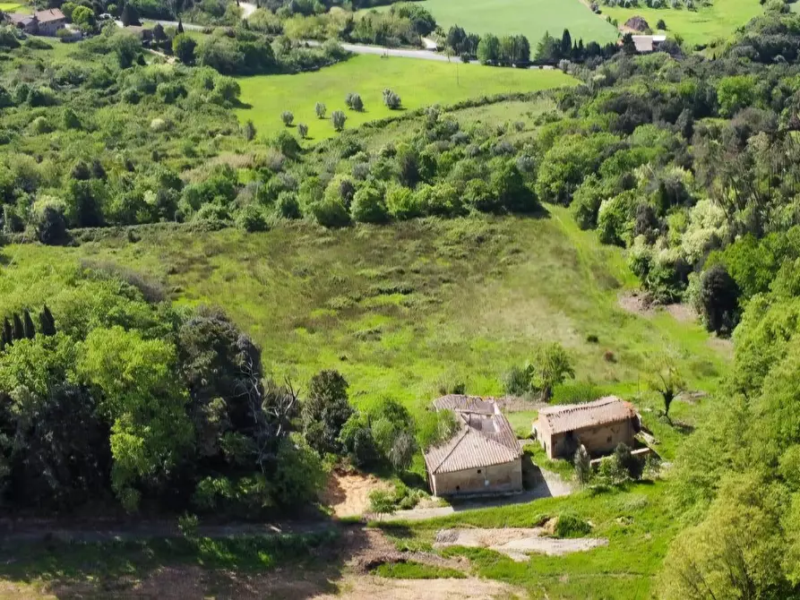Immagine 3 di Casa colonica in vendita  a Gambassi Terme