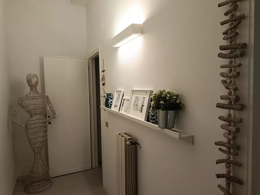 Immagine 28 di Appartamento in vendita  a Rosignano Marittimo