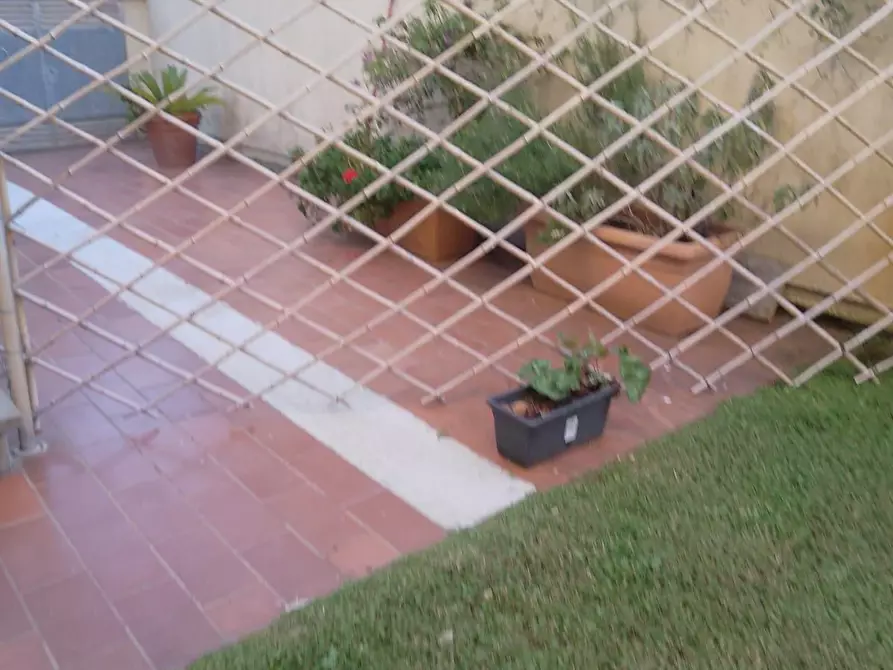 Immagine 14 di Appartamento in affitto  a Camaiore