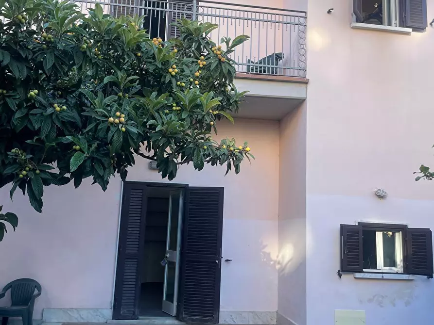 Immagine 4 di Terratetto in vendita  a Carrara