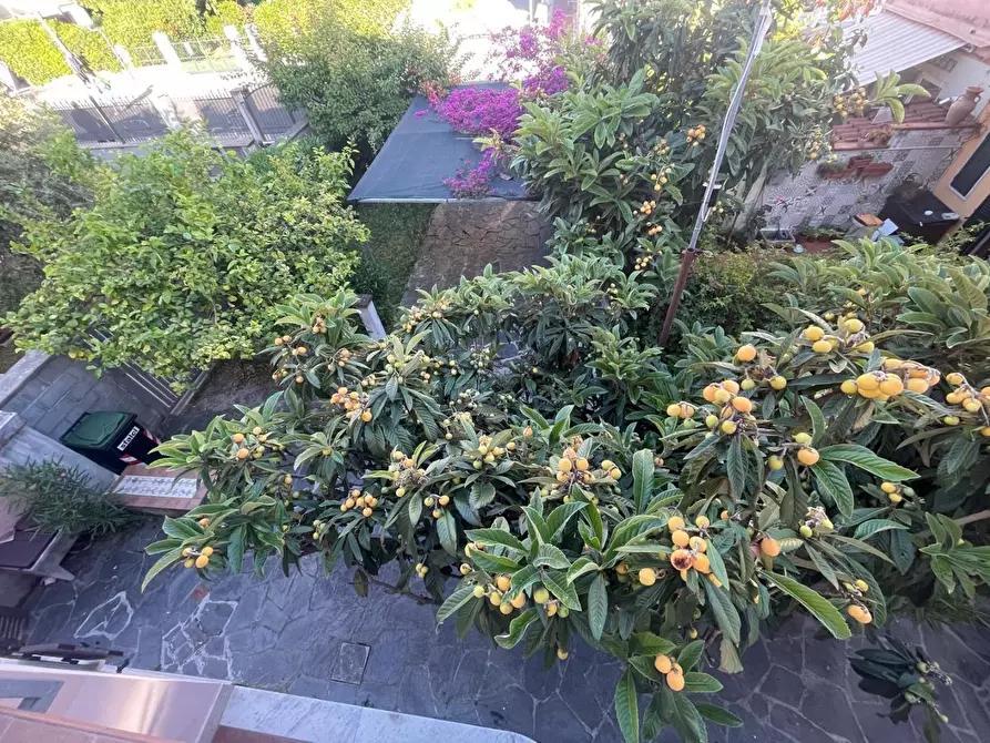 Immagine 1 di Terratetto in vendita  a Carrara