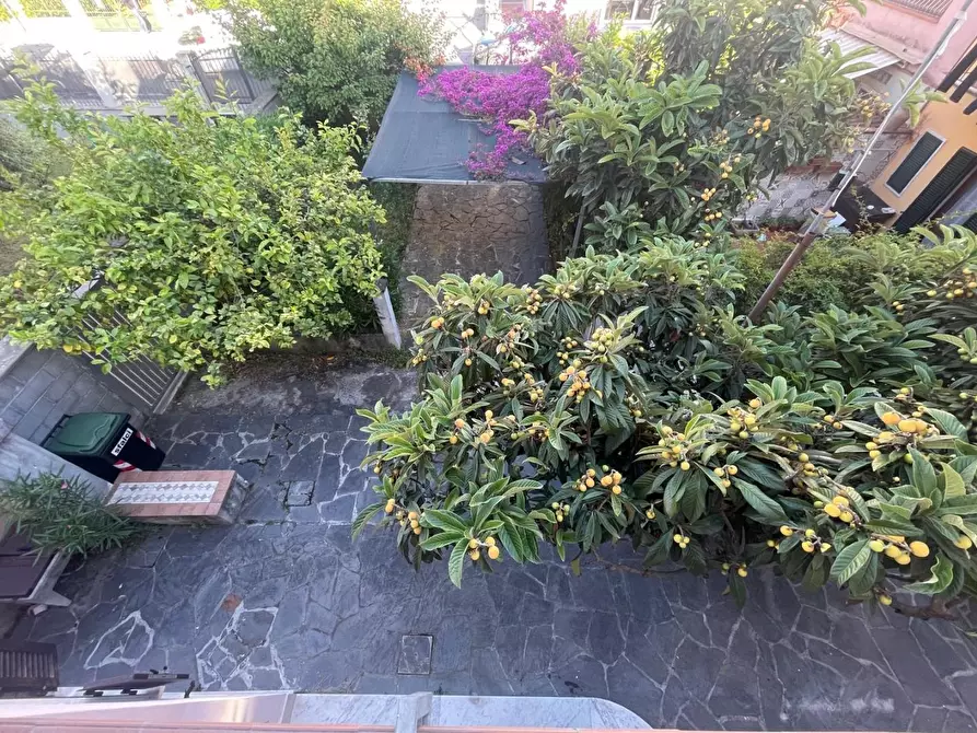 Immagine 2 di Terratetto in vendita  a Carrara